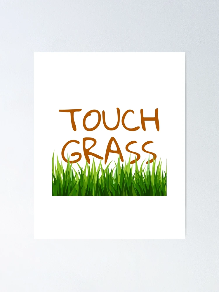 Funny Meme Gift Touch Grass Poster for Sale by kmcollectible