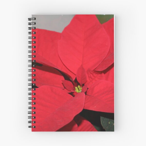 Item preview, Poinsettia designed and sold by AnnDixon.