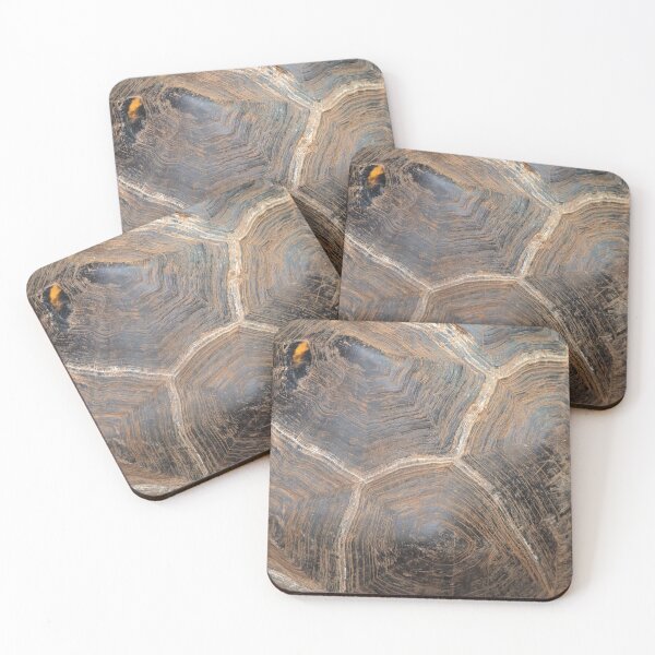 Item preview, Galapagos Tortoise designed and sold by Anna Fairley Nielsson.