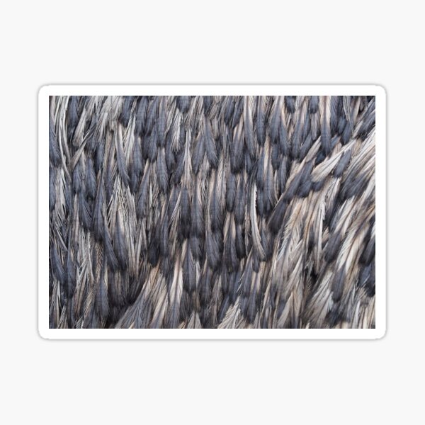 Emu Feathers Sticker