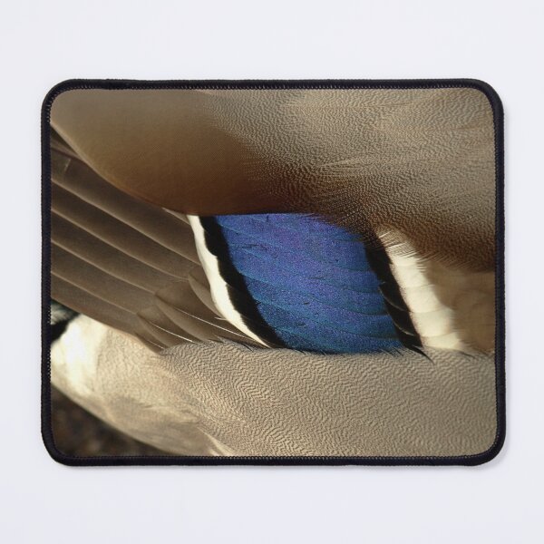 Item preview, Duck Feathers designed and sold by Anna Fairley Nielsson.
