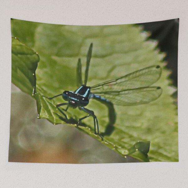 Item preview, Damsel Fly designed and sold by AnnDixon.