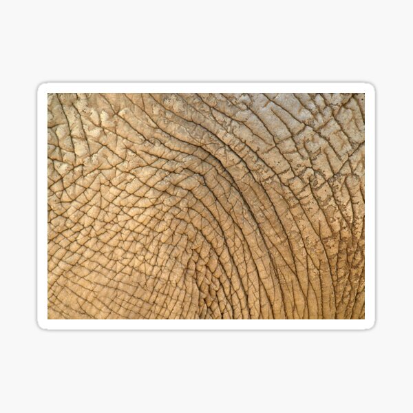 Elephant Skin Sticker
