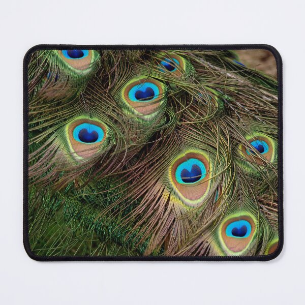 Item preview, Peacock Tail Feathers designed and sold by Anna Fairley Nielsson.