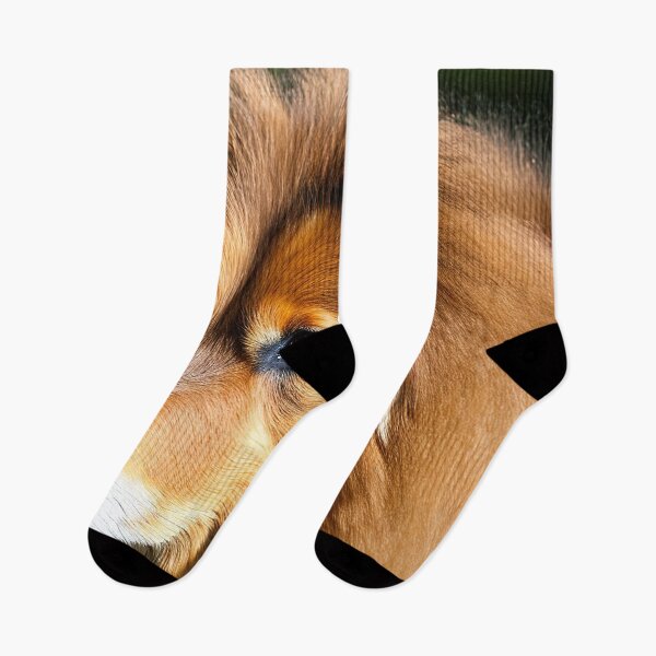 Item preview, Canine Portraits: Rough Collie designed and sold by DavesDogShop.