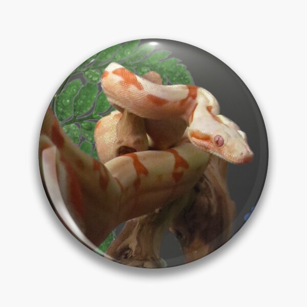 Item preview, Solaire designed and sold by Nathan Gruber.