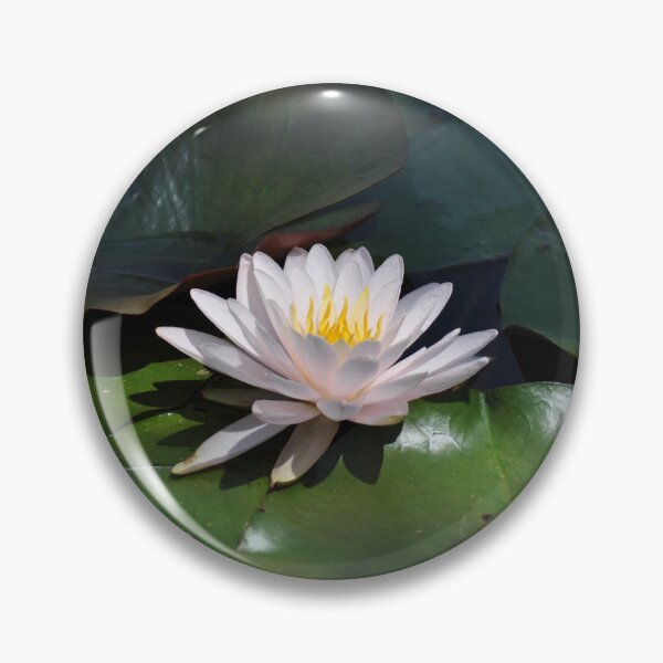 Item preview, Water Lily - Kenilworth Aquatic Gardens designed and sold by michael6076.