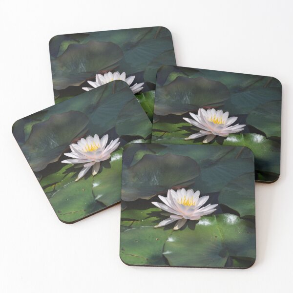 Item preview, Water Lily - Kenilworth Aquatic Gardens designed and sold by michael6076.