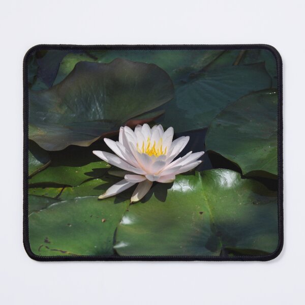 Item preview, Water Lily - Kenilworth Aquatic Gardens designed and sold by michael6076.