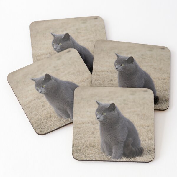 Item preview, Cat in The Grass designed and sold by TheeForestFox Shop.