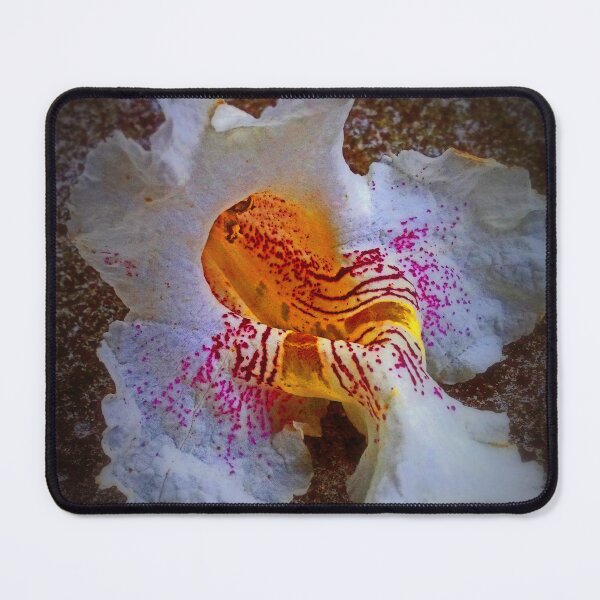 Item preview, Catalpa flower in Spring designed and sold by michael6076.