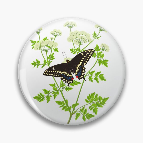 Item preview, Eastern Black Swallowtail Butterfly (Papilio polyxenes) with Poison Hemlock Illustration designed and sold by ModelOrganism.