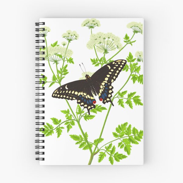 Item preview, Mariposa cola de golondrina negra oriental (Papilio polyxenes) con ilustración de cicuta venenosa designed and sold by ModelOrganism.