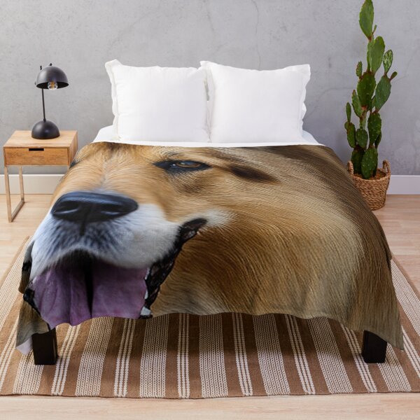 Item preview, Canine Portraits: Rough Collie designed and sold by DavesDogShop.