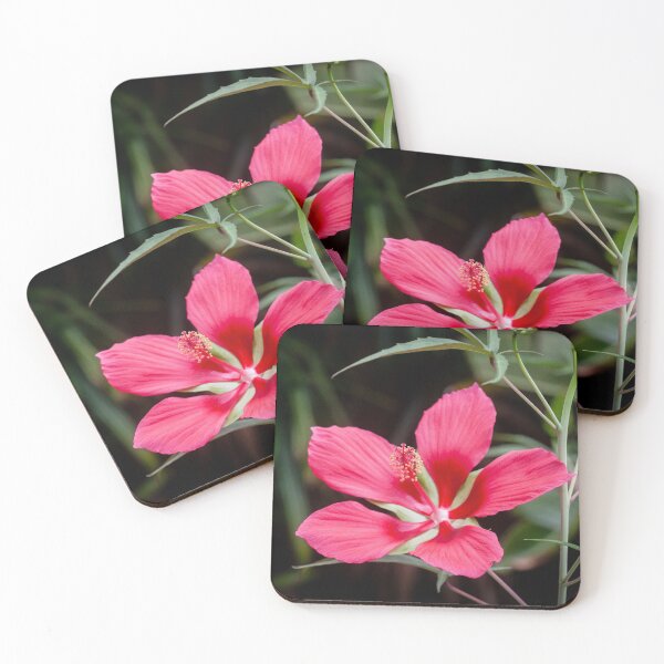 Item preview, Star of Texas Swamp Hibiscus Bloom X117 designed and sold by RichFrancoCars.