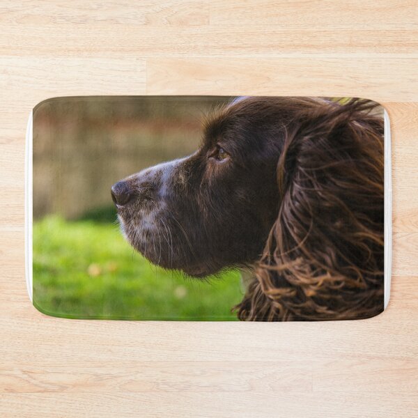 Item preview, Brown and White Working Cocker Spaniel designed and sold by MichaelBShannon.