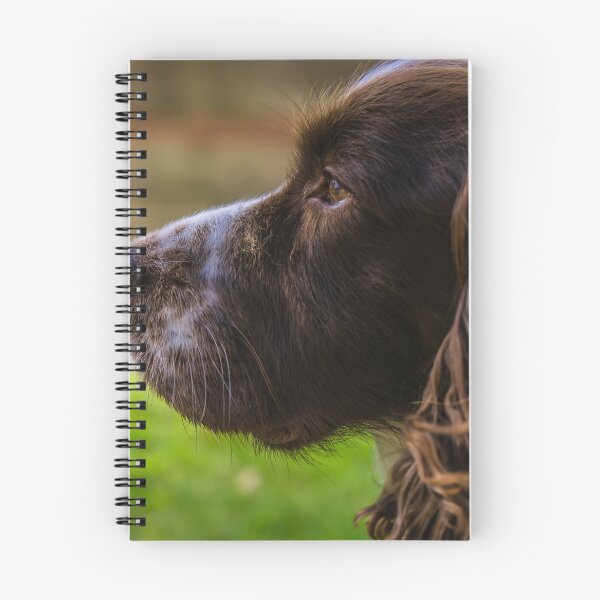 Item preview, Brown and White Working Cocker Spaniel designed and sold by MichaelBShannon.
