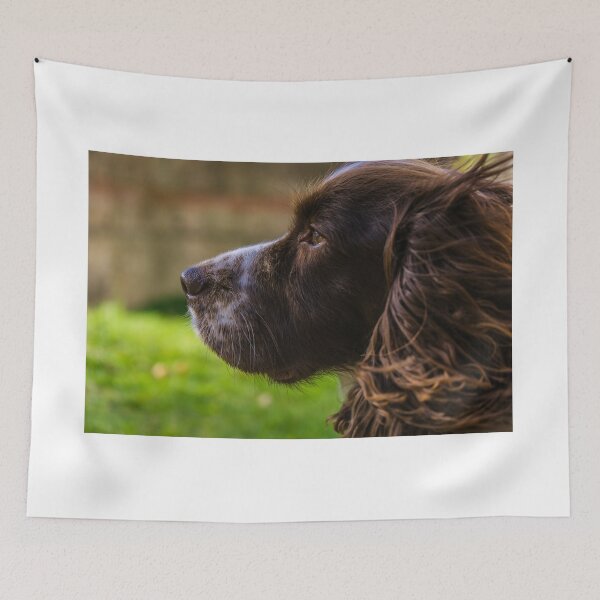 Item preview, Brown and White Working Cocker Spaniel designed and sold by MichaelBShannon.