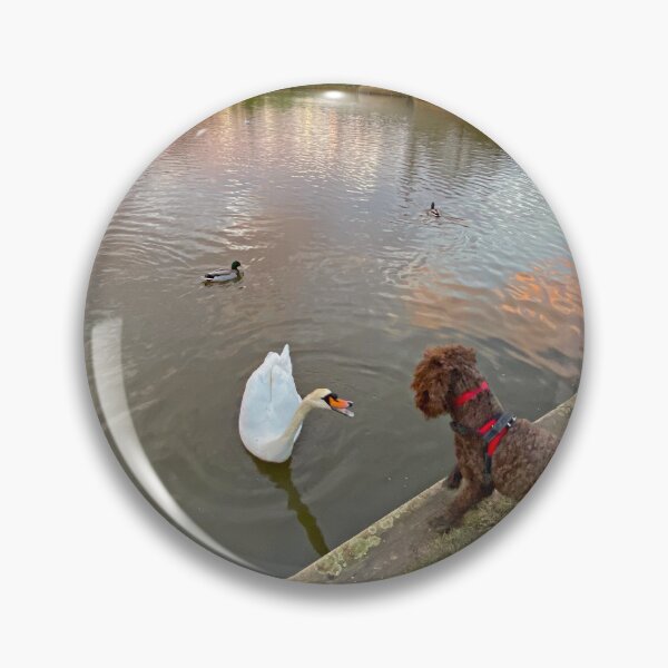 Item preview, The Swan and the Dog designed and sold by Paddyb17.