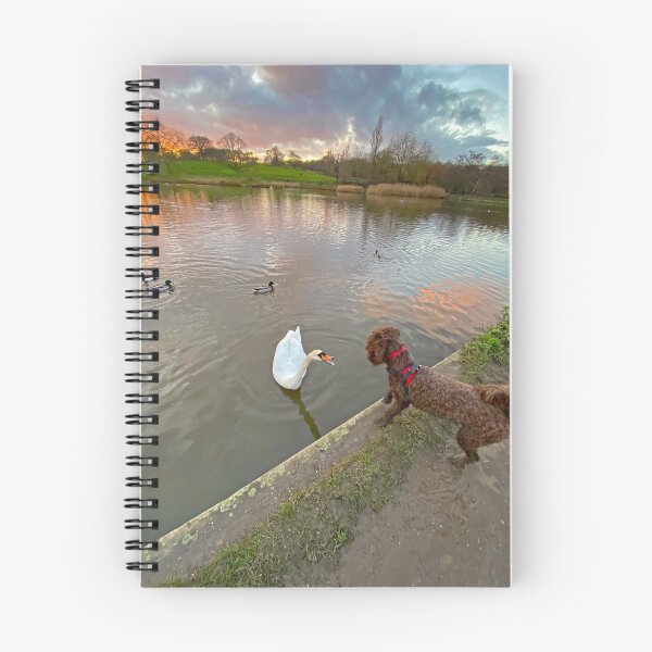 Item preview, el cisne y el perro designed and sold by Paddyb17.