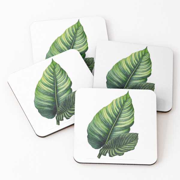 Artikelvorschau, Calathea-Blatt | Zimmerpflanzen | Zimmerpflanzen | Wandkunst | Wohnkultur entworfen und verkauft von mannaandquail.