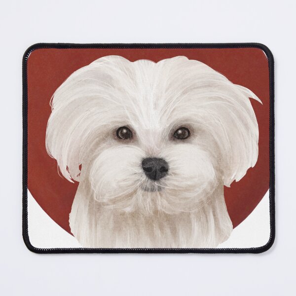 Item preview, Cutest Maltese Puppy (Large Print) designed and sold by Myloveforpets.