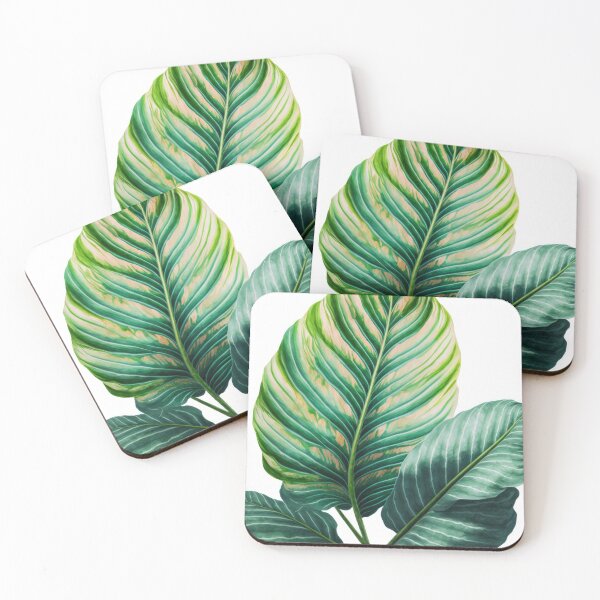 Artikelvorschau, Calathea-Blatt | Zimmerpflanzen | Zimmerpflanzen | Wandkunst | Wohnkultur entworfen und verkauft von mannaandquail.