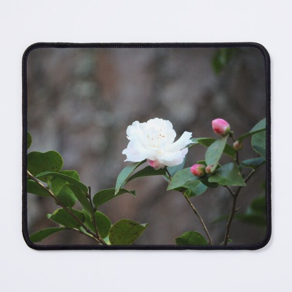 Item preview, Anticipation On Blooms designed and sold by Cynthia48.