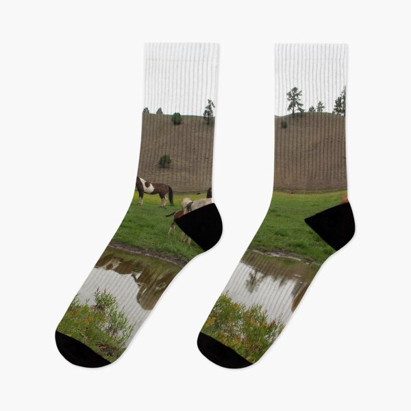 Item preview, Wild Family - Colorado Ponies designed and sold by Lostlogo.