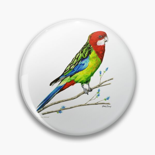 Artikelvorschau, Australische östliche Rosella entworfen und verkauft von ArtbySmith.