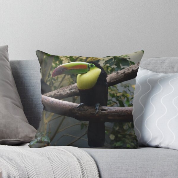 Item preview, National Aviary Pittsburgh Series - 16 designed and sold by sarahshanely.