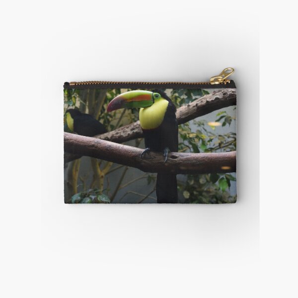Item preview, National Aviary Pittsburgh Series - 16 designed and sold by sarahshanely.