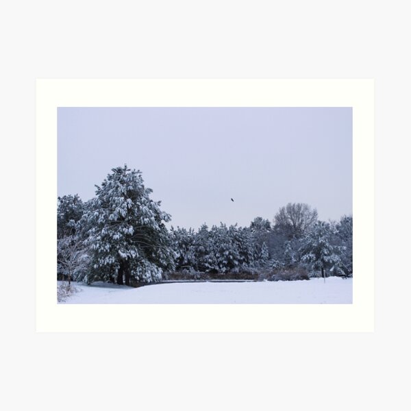 A wintry morning by the pond Art Print
