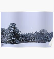 A wintry morning by the pond Poster