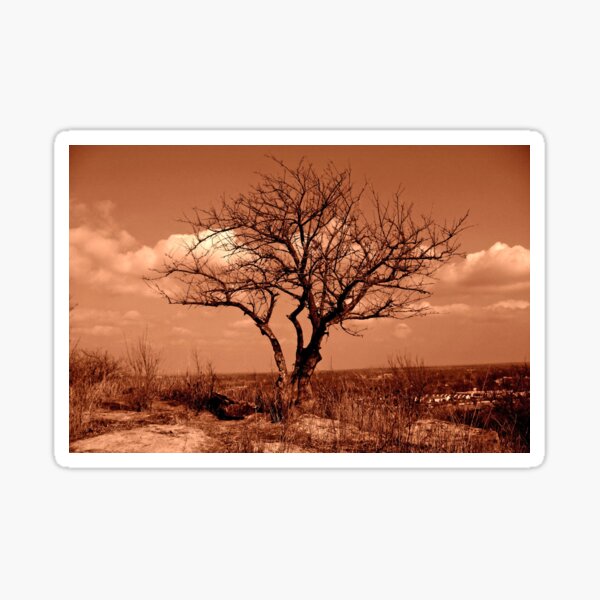 Item preview, Lone Tree on Burnett's Mound designed and sold by michael6076.