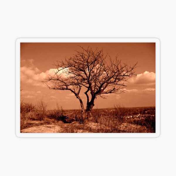 Item preview, Árbol solitario en el montículo de Burnett designed and sold by michael6076.
