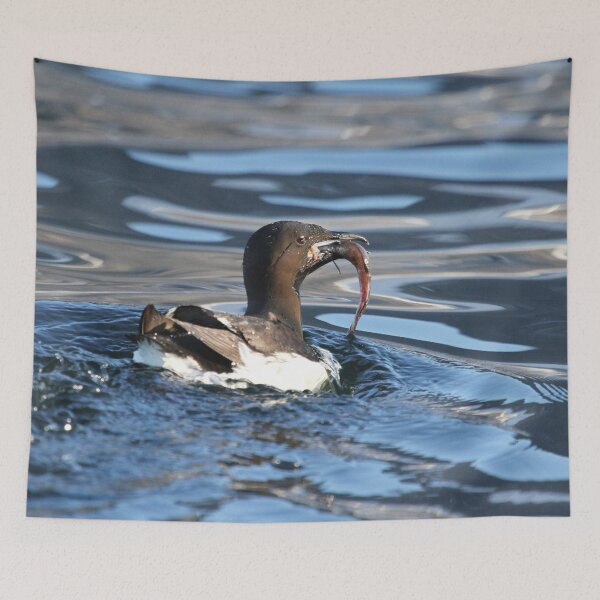 Item preview, Murre about to have lunch designed and sold by Marion Joncheres.