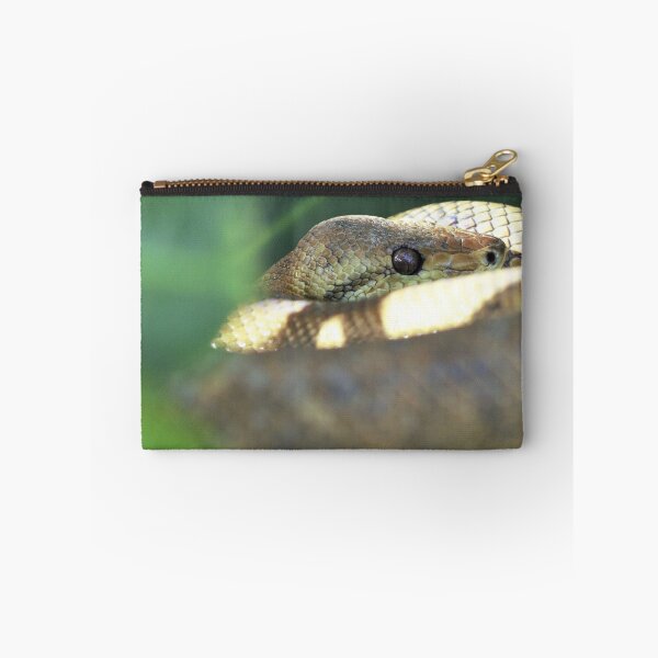 Item preview, Boa designed and sold by Yves Roumazeilles (Wild Focus).