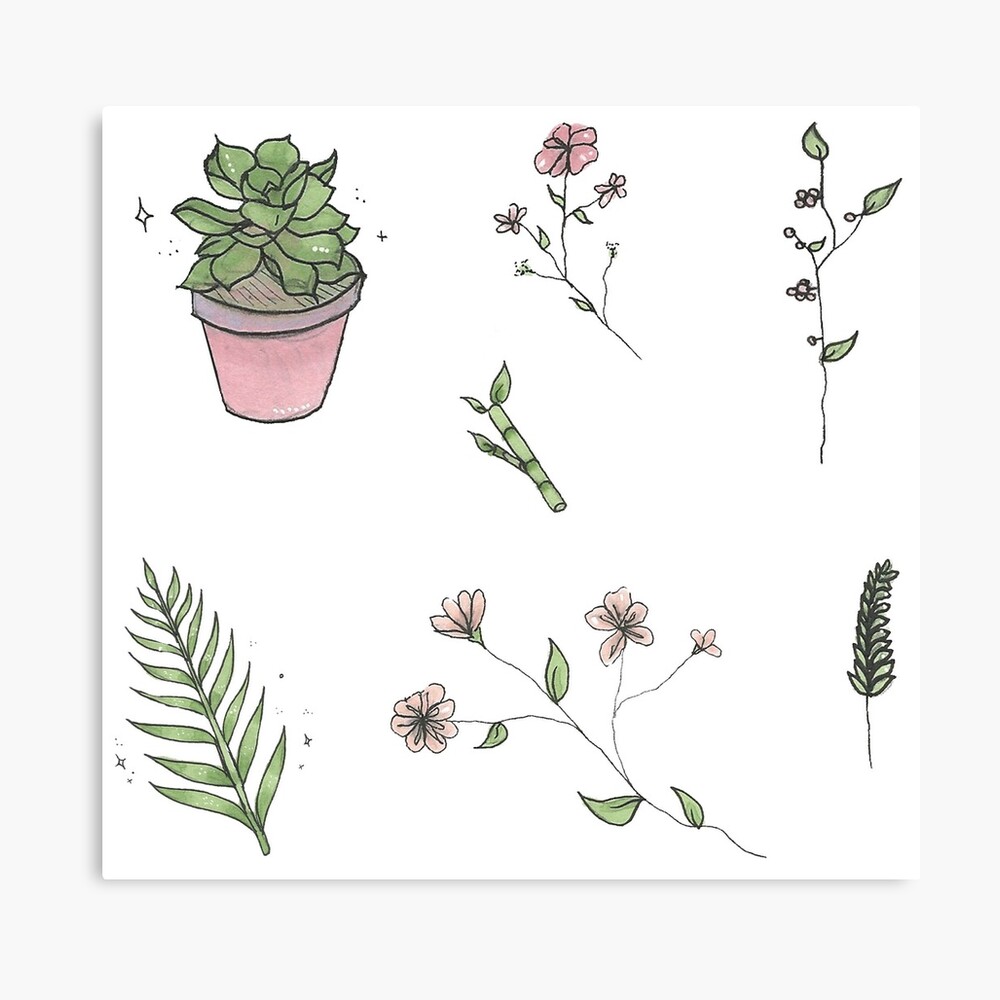 plants and flowers sticker sheet photographic print by prismapansy redbubble