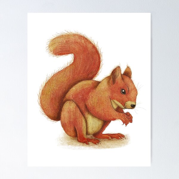 Item preview, Squirrel  designed and sold by MarcieLondonArt.