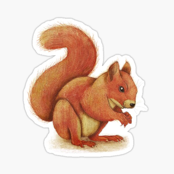 Squirrel Sticker