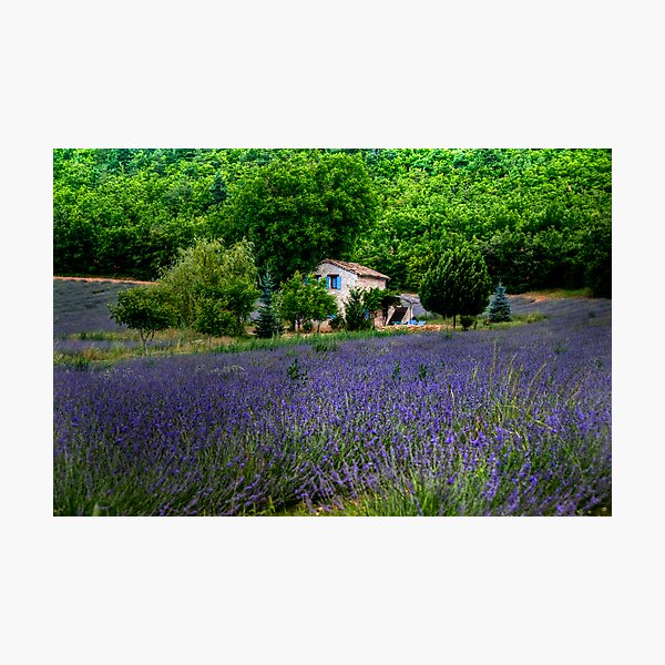Provence Photographic Print