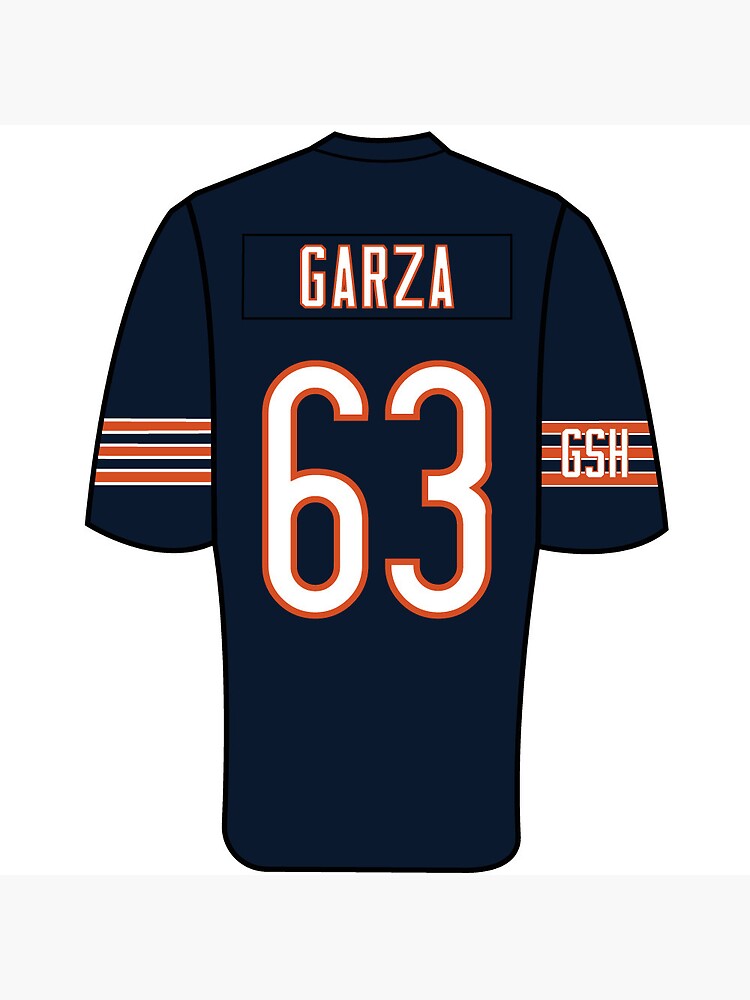 Roberto Garza Jersey | Pin