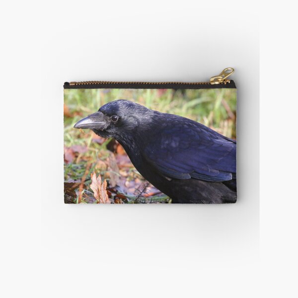 Item preview, Crow with bulging crop designed and sold by GreyFeatherPhot.