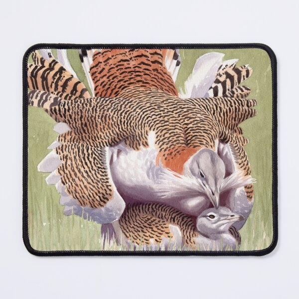 Item preview, Mating Great Bustards designed and sold by kokayart.