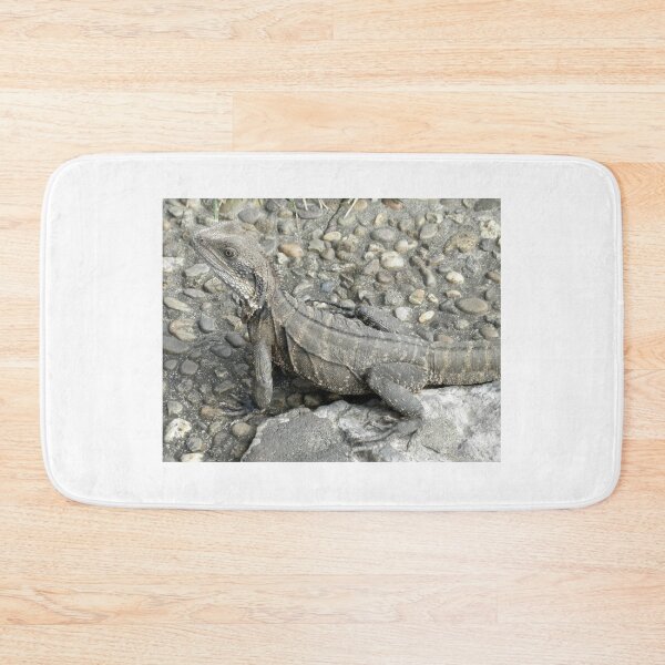 Item preview, Australian Water Dragon, Chinese Gardens, Darling Harbour, Australia. designed and sold by kaysharp.