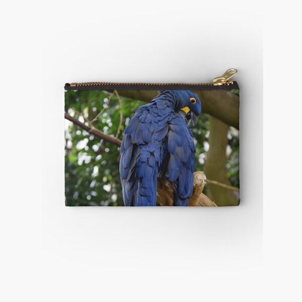 Item preview, National Aviary Pittsburgh Series - 18 designed and sold by sarahshanely.