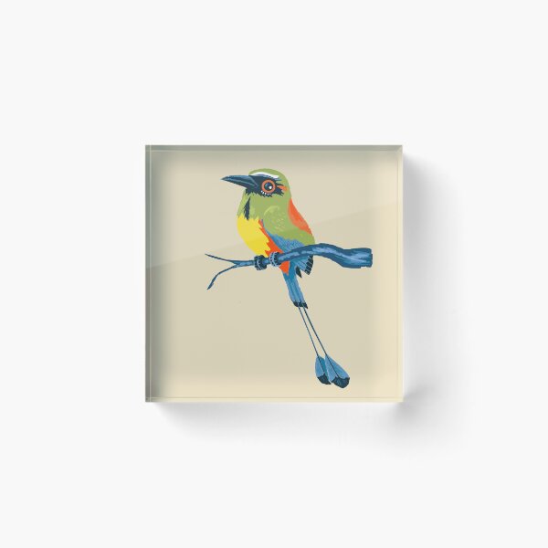 Item preview, The exotic tropical bird torogoz designed and sold by paisajetropical.