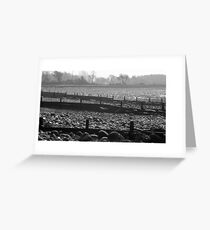 Llanfairfechan Horizon Greeting Card
