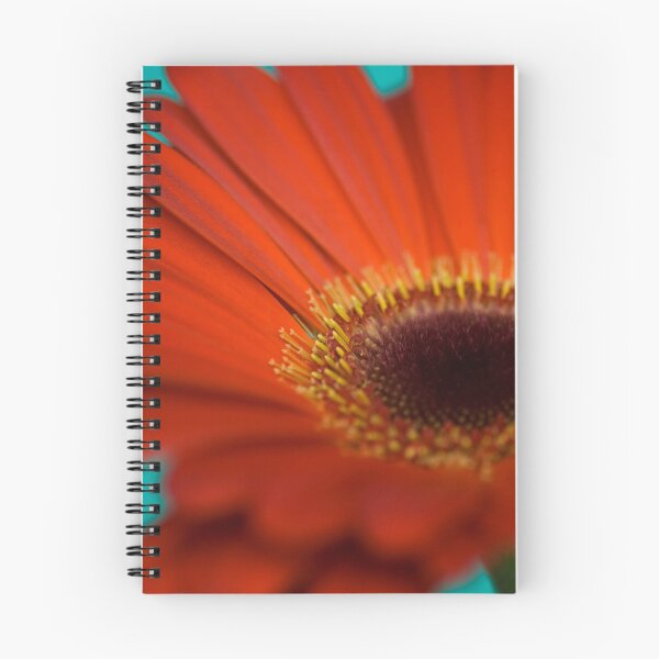 Artikelvorschau, Rote Gerbera II entworfen und verkauft von AndrewB.